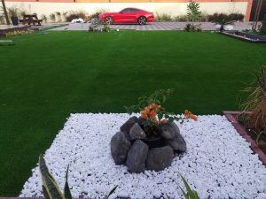 IMG_20200312_174052